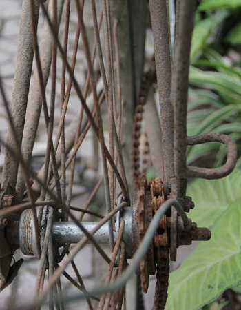 Grandfathers bike by Hai Tien , story by Uyen Nguyen